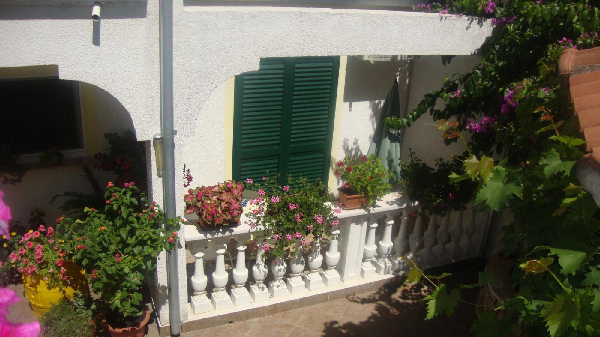Apartments Vodice Marica Eksteriør bilde